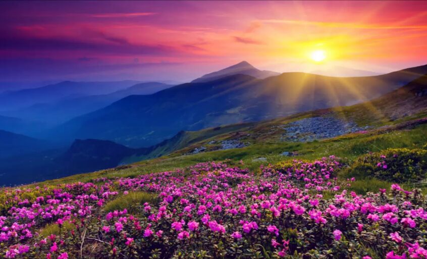 10 видео Разумного Человечества о самосовершенствовании ‍♀️