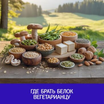 Где брать белок вегетарианцу