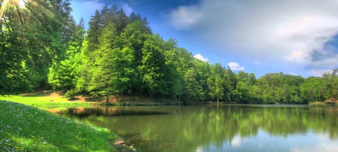 6 видео Разумного Человечества о Духах Природы