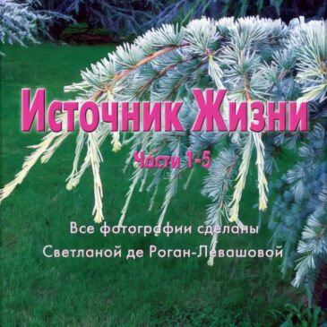 Источник жизни. Н. Левашов
